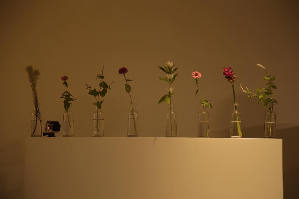 ada4